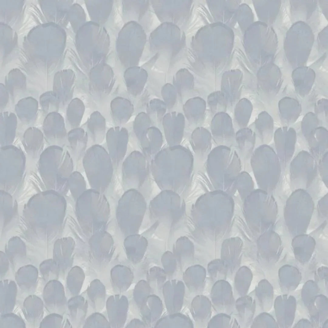 Feathers