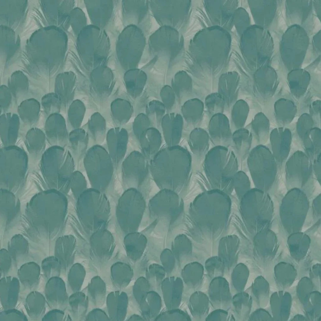Feathers