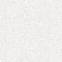 Maze