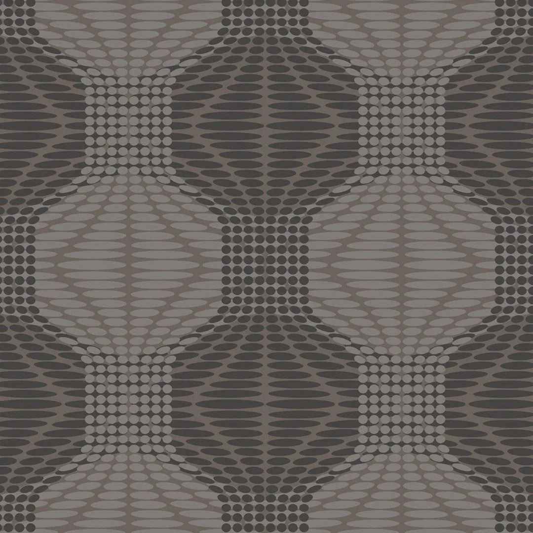Optic Geometric