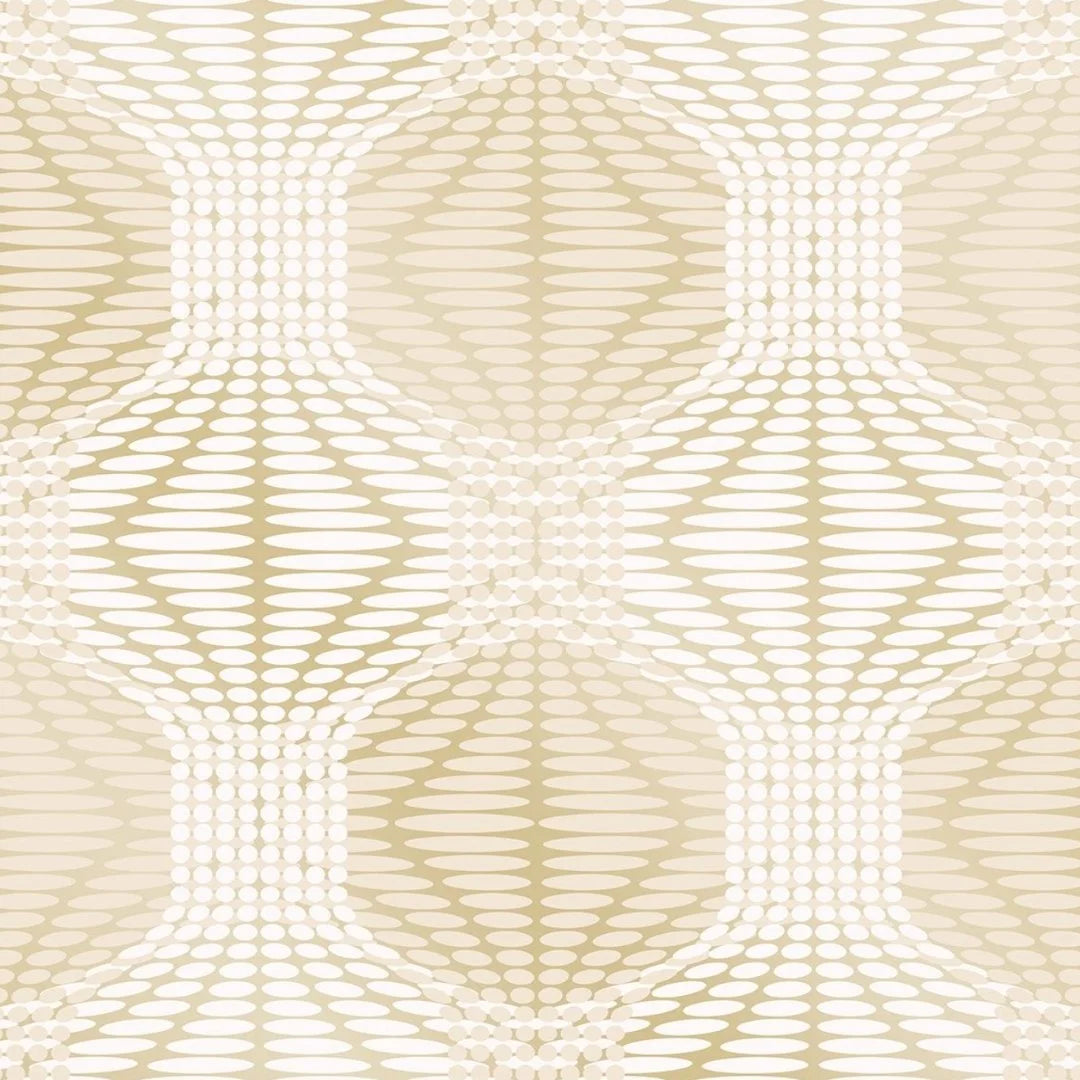 Optic Geometric