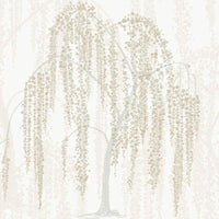 Willow Glow