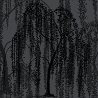 Willow Glow