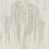 Willow Glow