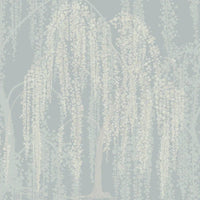Willow Glow