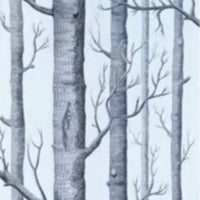 Woods