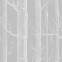 Woods