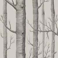 Woods