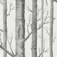 Woods