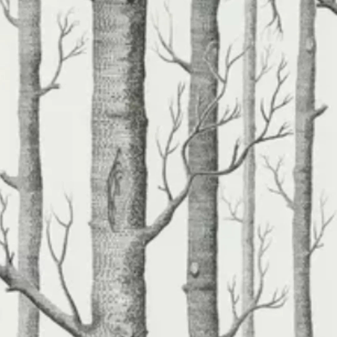 Woods