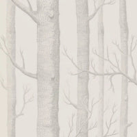 Woods