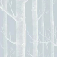 Woods