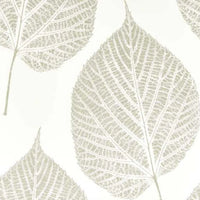 Leaf