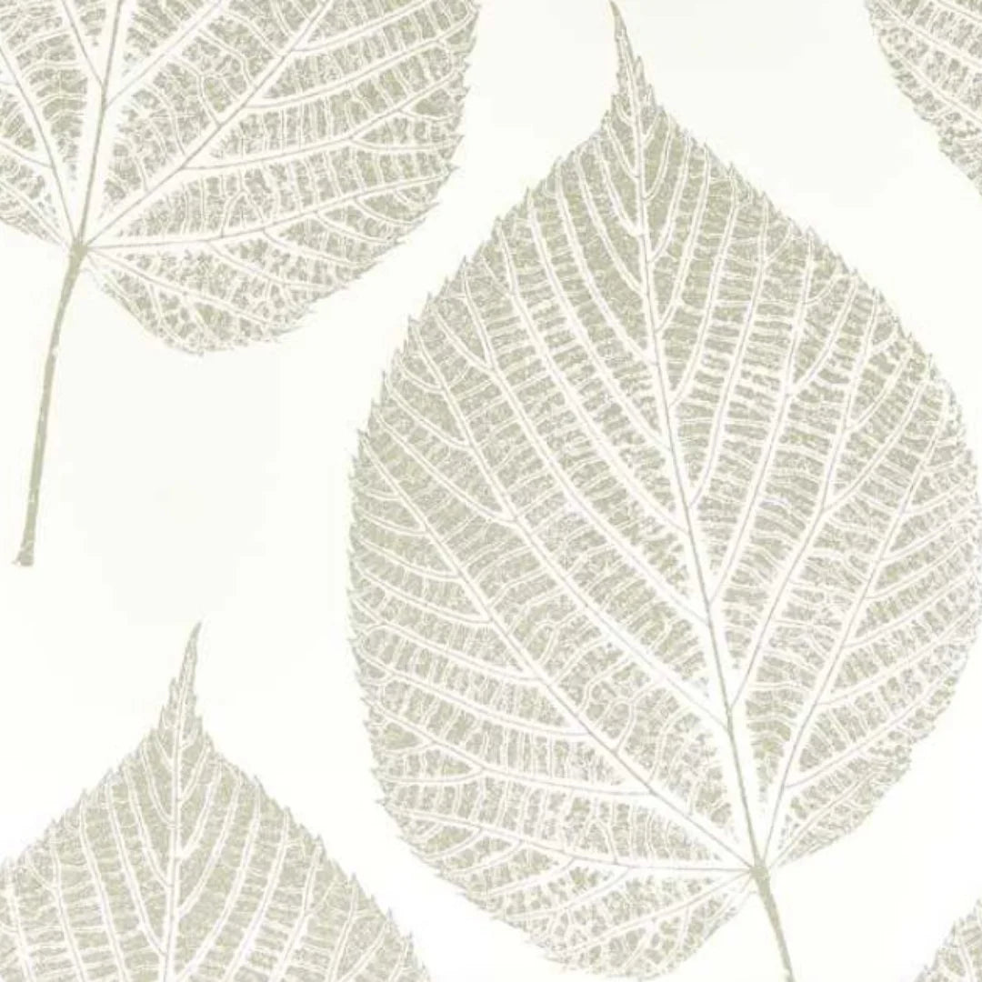 Leaf