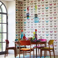 Papilio