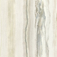 Vitruvius