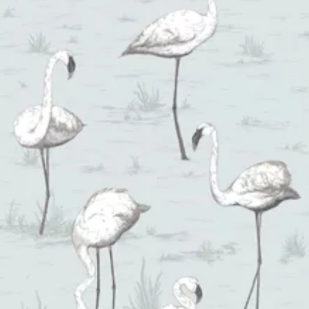 Flamingos