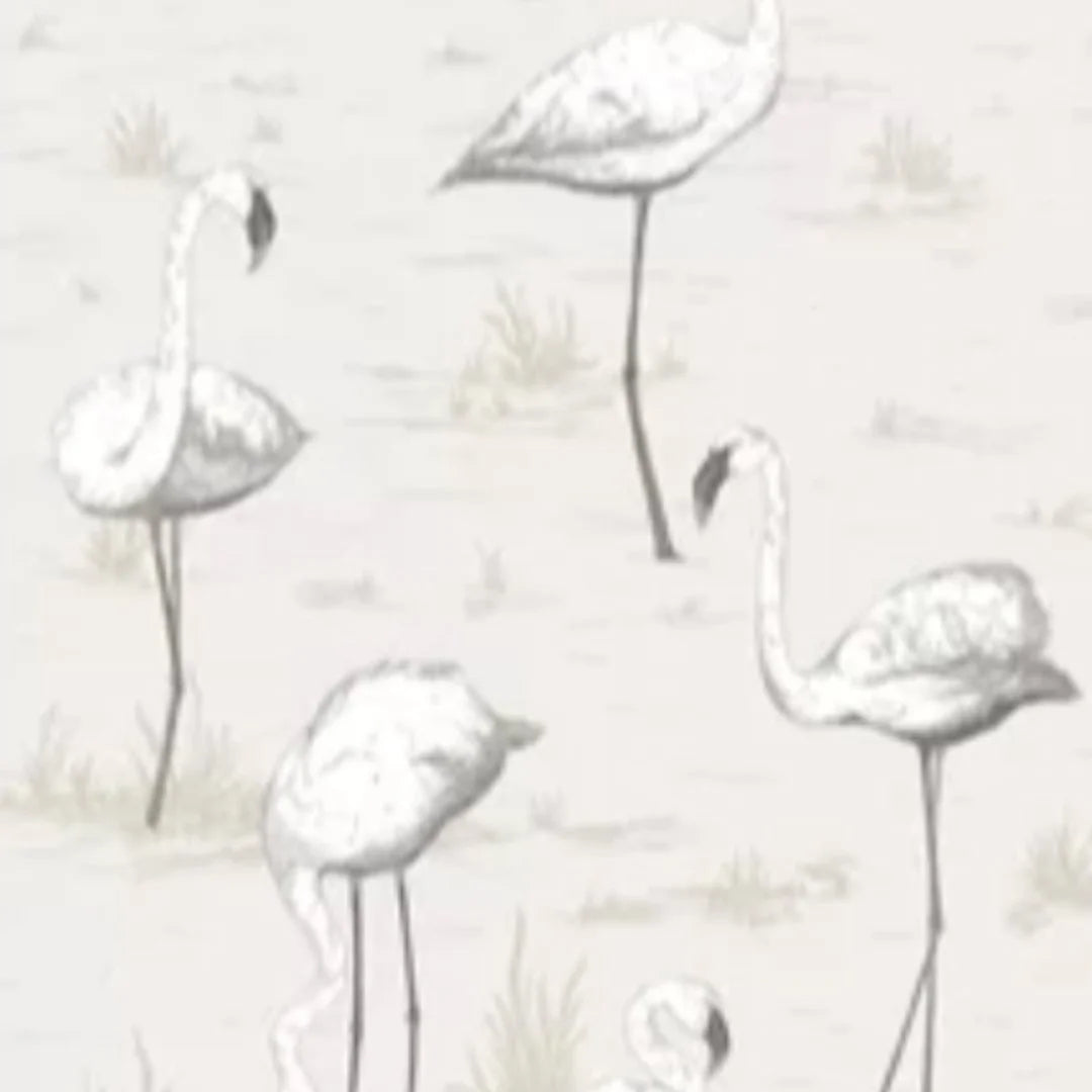Flamingos
