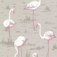 Flamingos