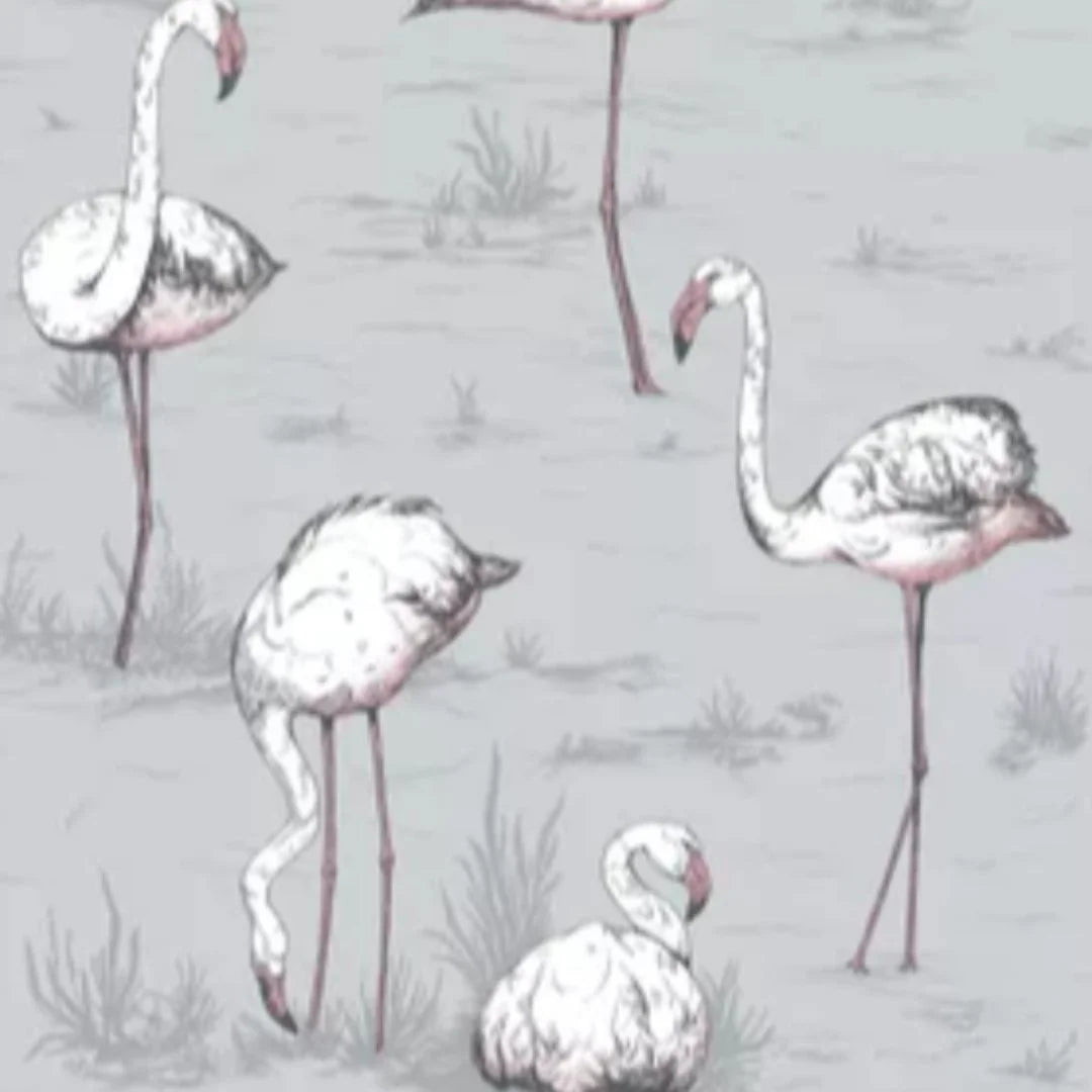 Flamingos