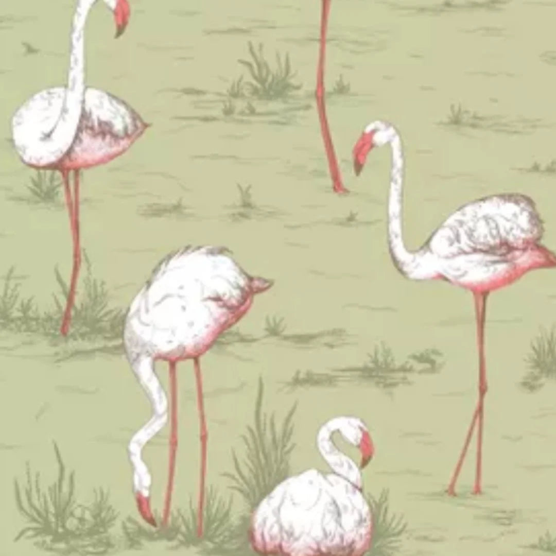 Flamingos