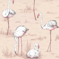 Flamingos
