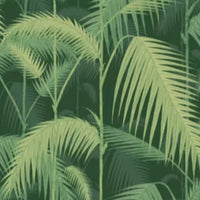 Palm Jungle