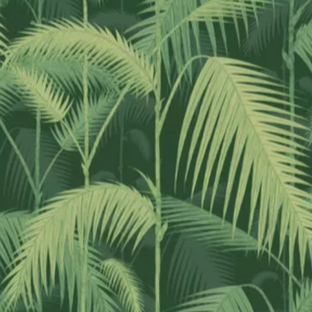 Palm Jungle