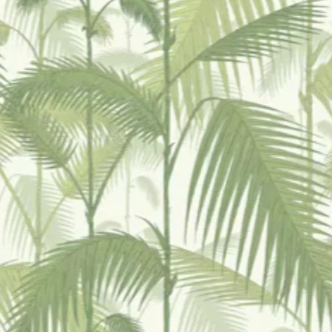 Palm Jungle