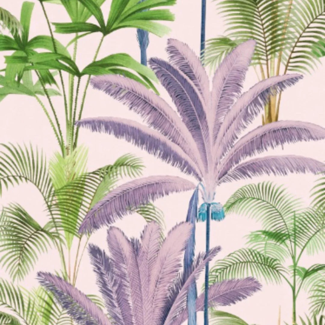 Palmeras
