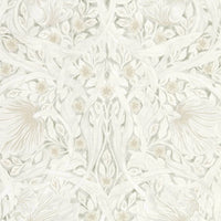 Pimpernel