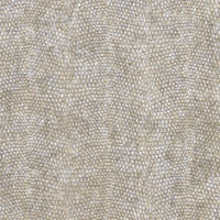 Snake Skin