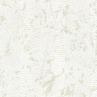 Snake Skin