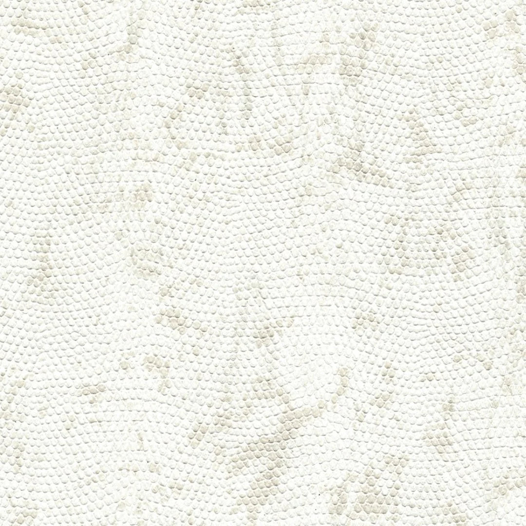 Snake Skin