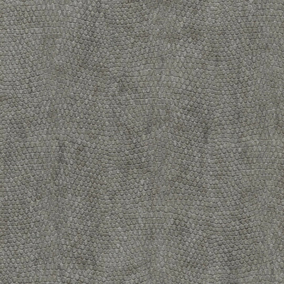 Snake Skin