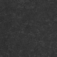 Snake Skin