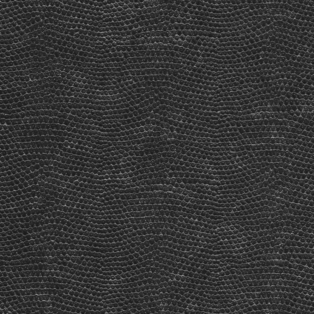 Snake Skin