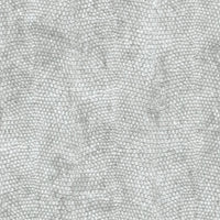 Snake Skin
