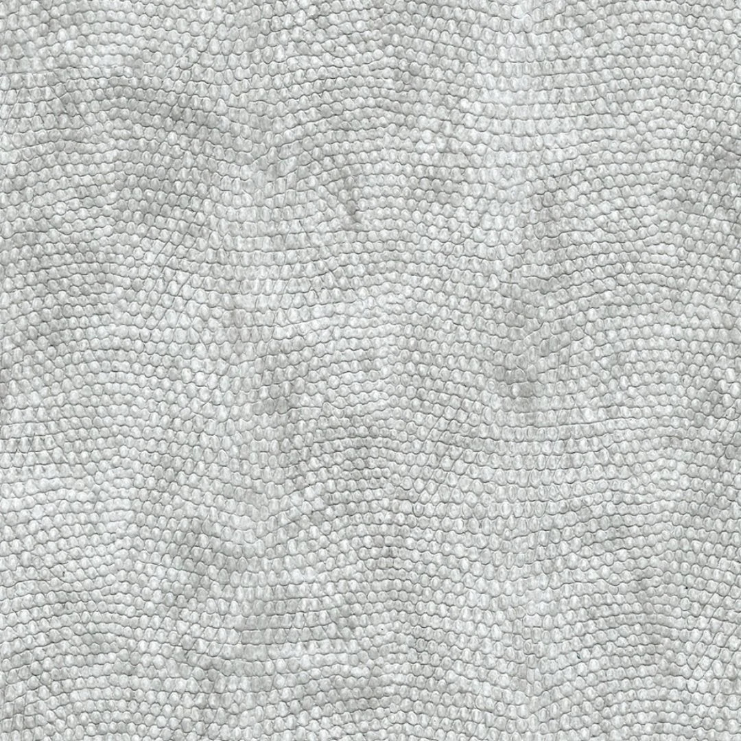 Snake Skin