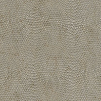 Snake Skin