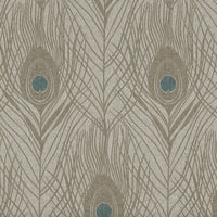 Peacock Feather