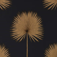 Fan Palm
