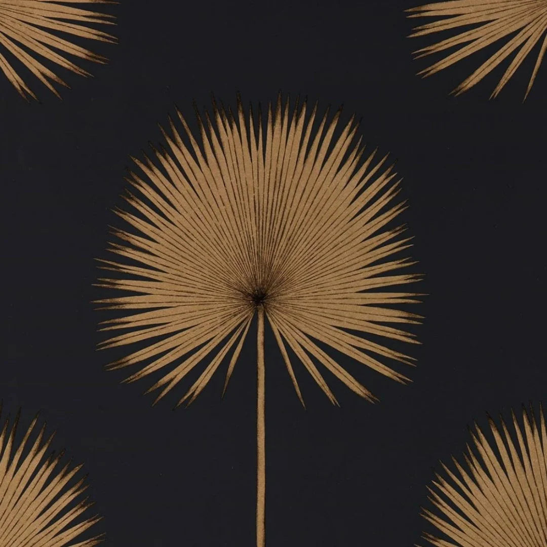 Fan Palm