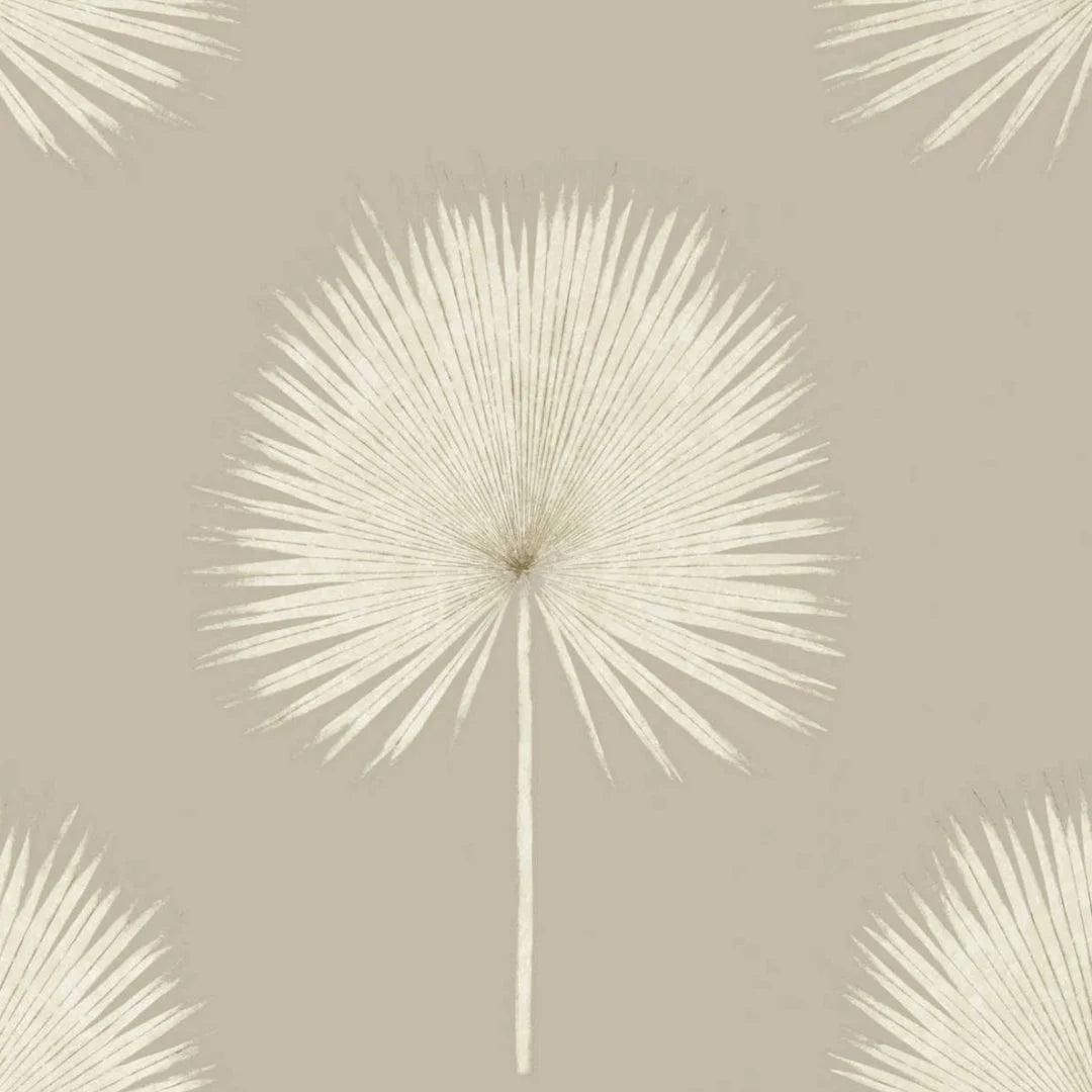 Fan Palm
