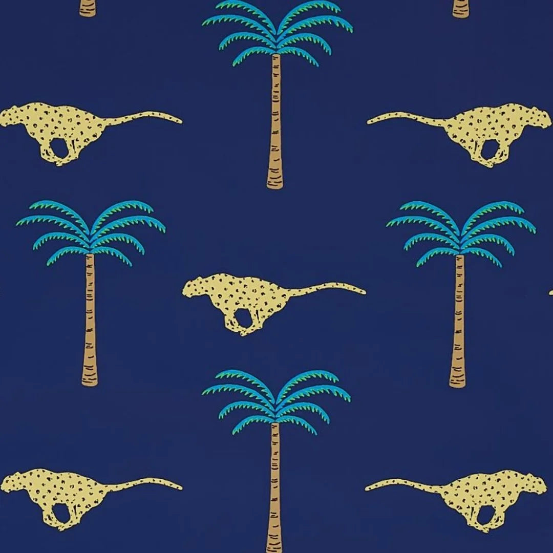 A Wild Desert Dream