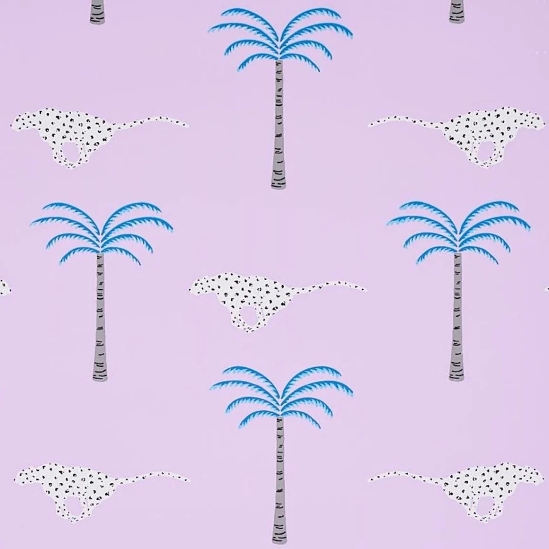 A Wild Desert Dream