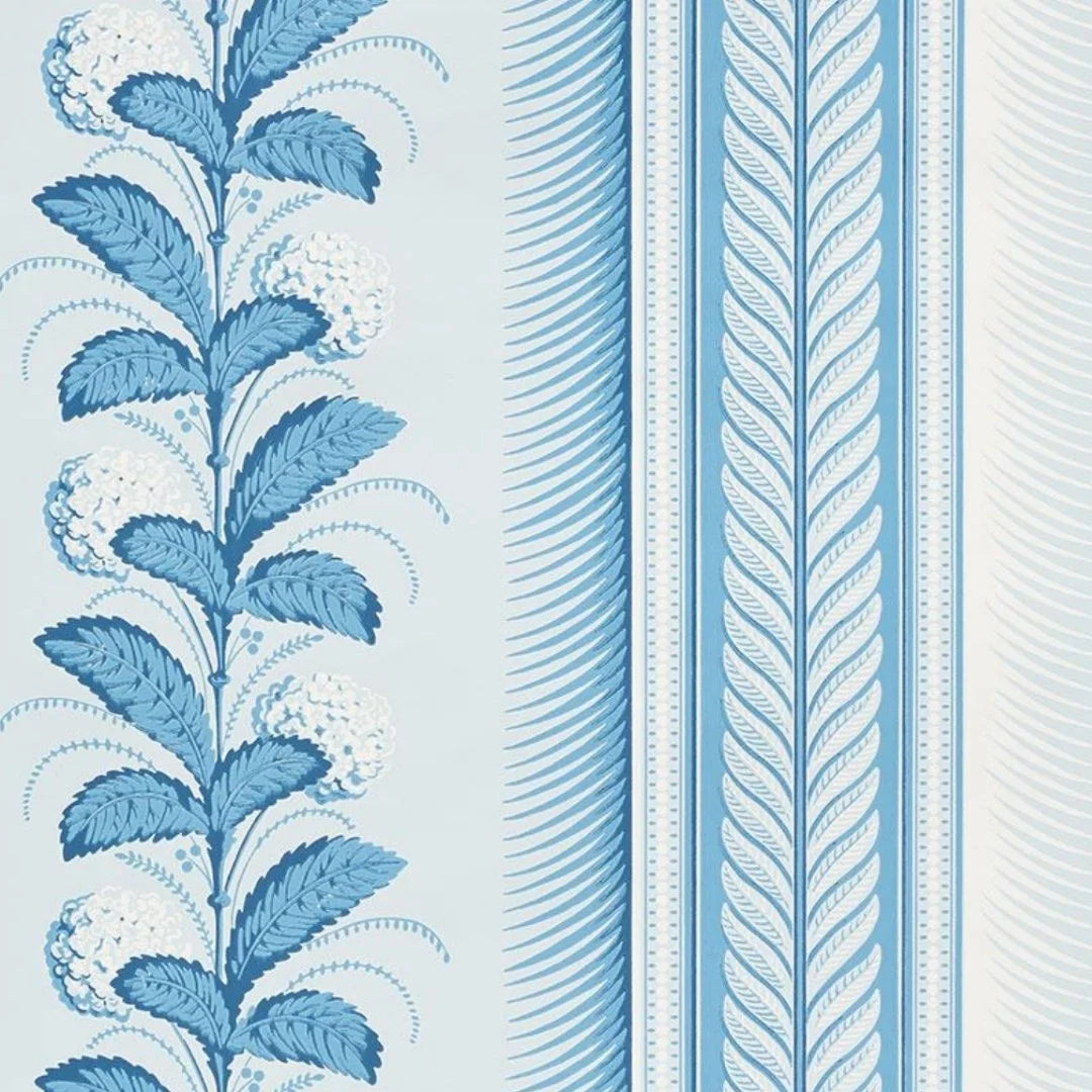 Hydrangea