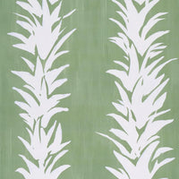White Lotus