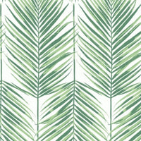 Palm Leaves