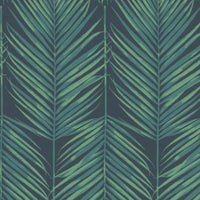 Palm Leaves